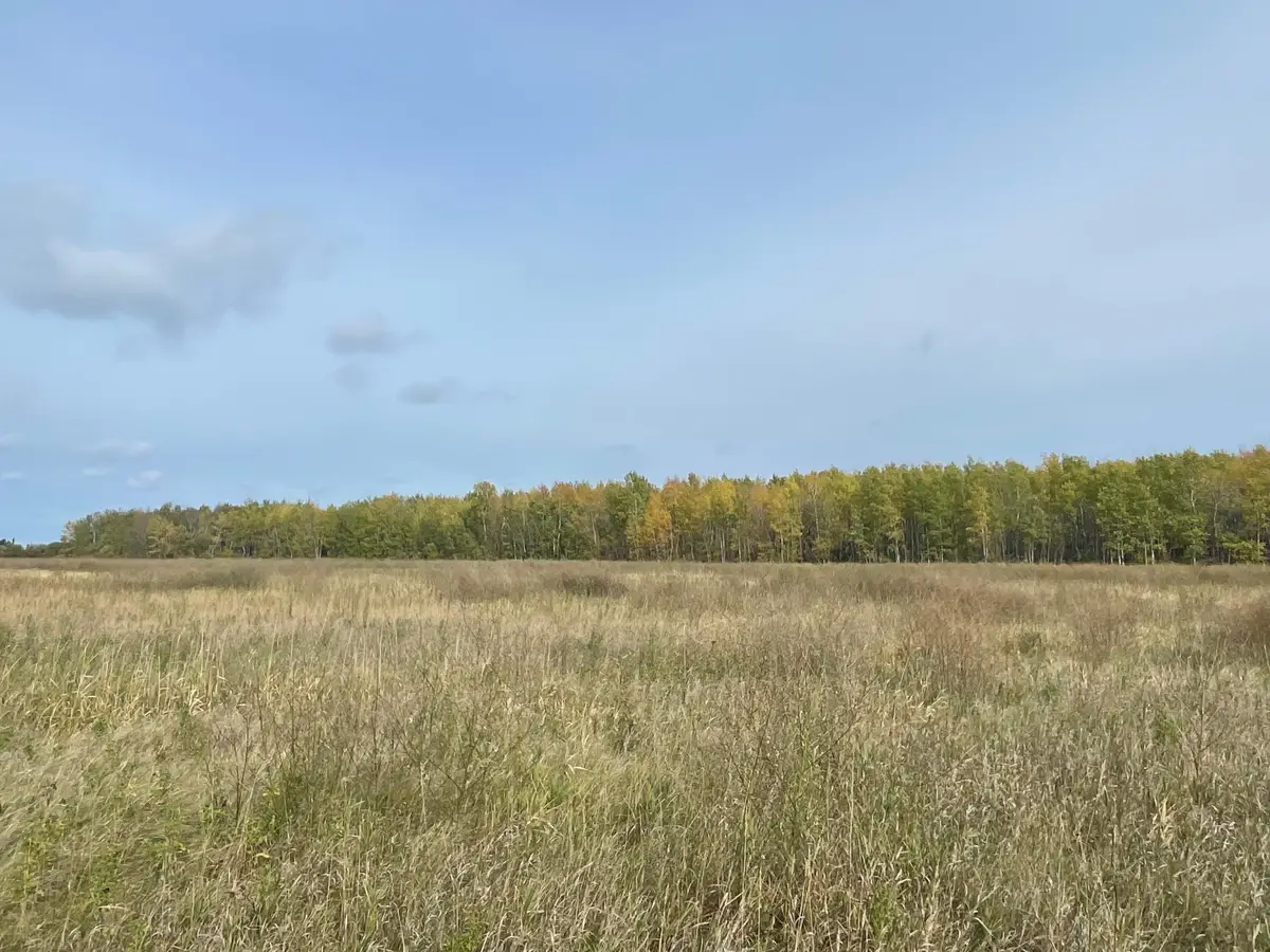 15904 Shoreline Drive Ne, Waskish, MN 56685 - #1