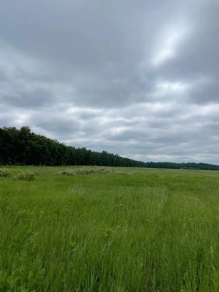 15904 Shoreline Drive Ne, Waskish, MN 56685 - #2