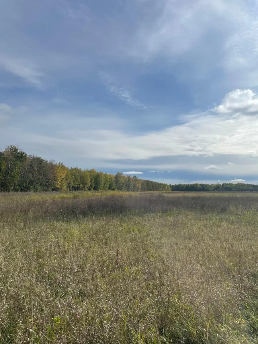 15904 Shoreline Drive Ne, Waskish, MN 56685 - #3