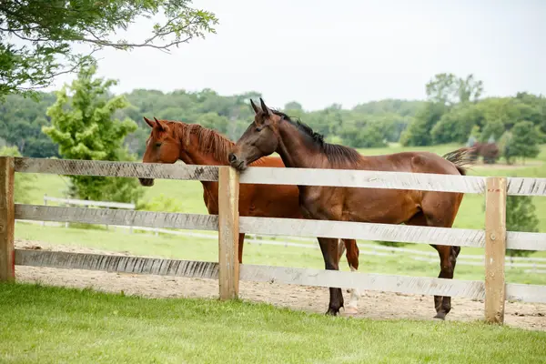 9685 County Road 13 Se, Franklin Twp, MN 55328