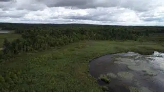 #3