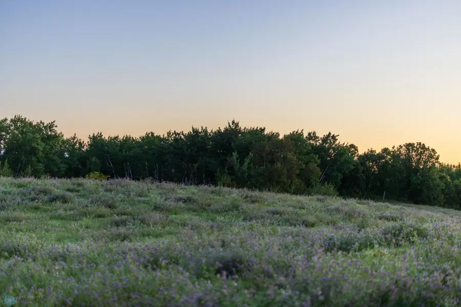 TBD 103 Street Ne, North Rolette, ND 58329 - #2