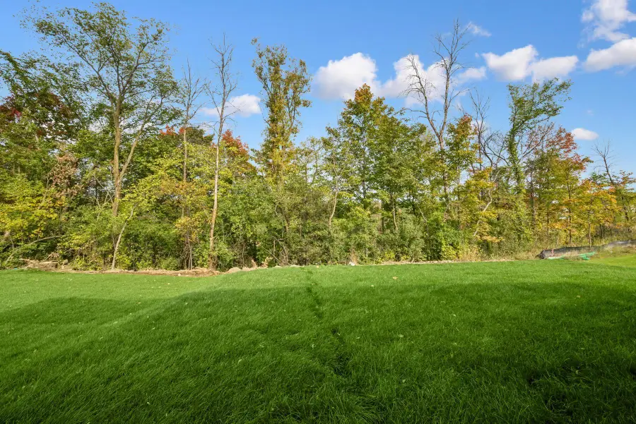 14830 106th Avenue N, Maple Grove, MN 55369 - Image #3