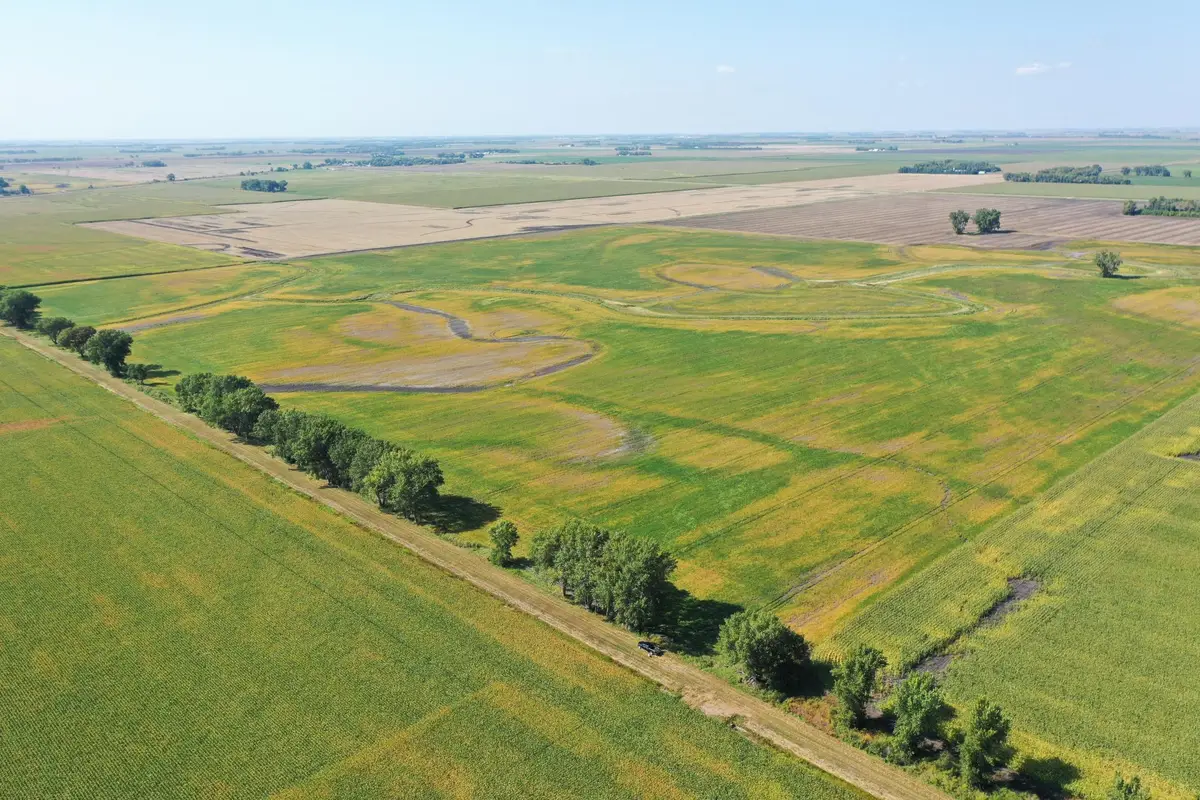 TBD County 8, Campbell, MN 56522 - #1