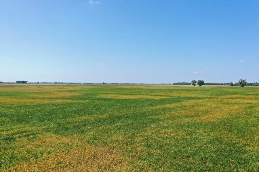 TBD County 8, Campbell, MN 56522 - #2