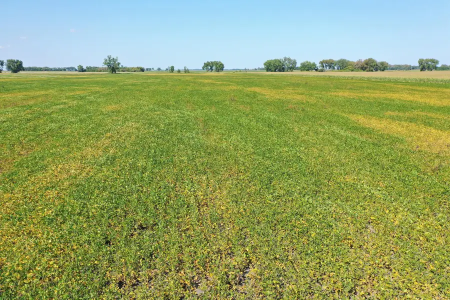 TBD County 8, Campbell, MN 56522 - #3