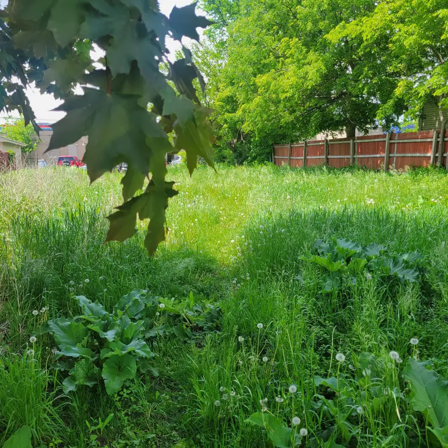 2029 Willow Avenue N, Minneapolis, MN 55411 - Image #2