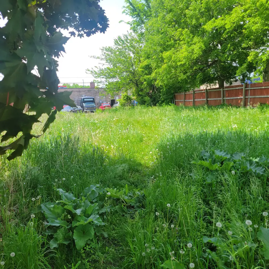 2029 Willow Avenue N, Minneapolis, MN 55411 - Image #3