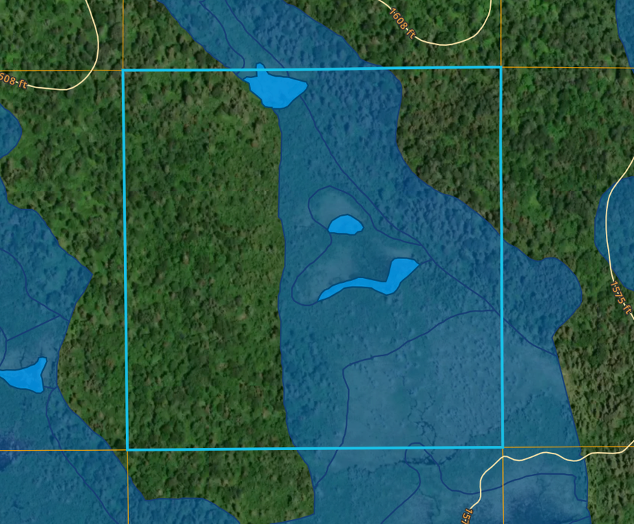 TBD Kane Lake Road, Silver Creek, MN 55616 - Image #2