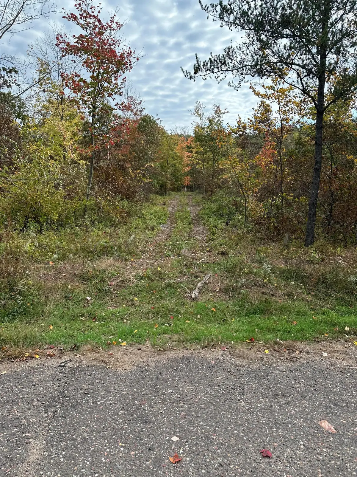 TBD 810th Street, Sand Creek, WI 54757 - #1