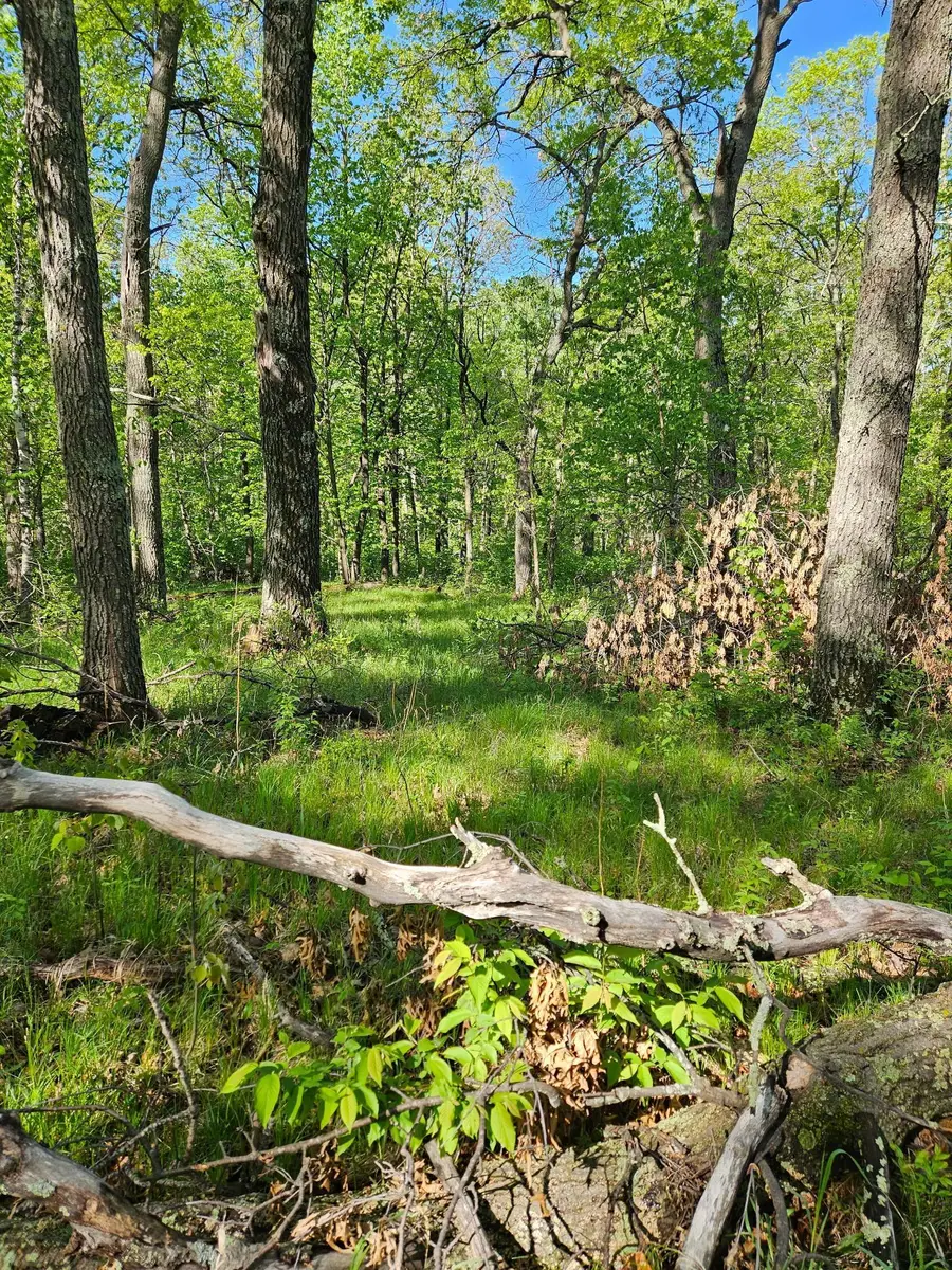 TBD Lot 49, Blk 1 Huron Dr., Breezy Point, MN 56472 - Image #3