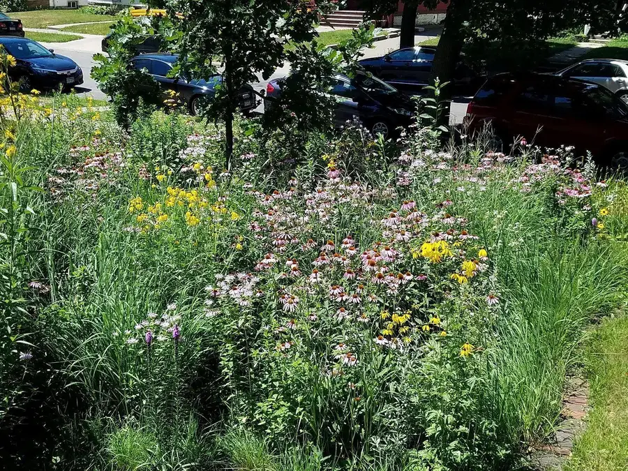 2505 Pleasant Avenue, Minneapolis, MN 55404 - Image #3