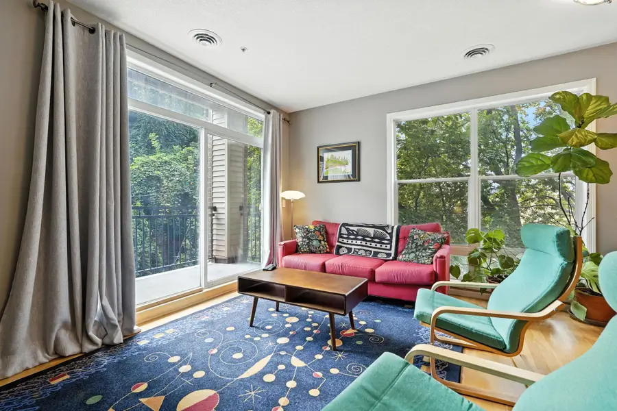 301 Oak Grove Street #214, Minneapolis, MN 55403 - Image #3