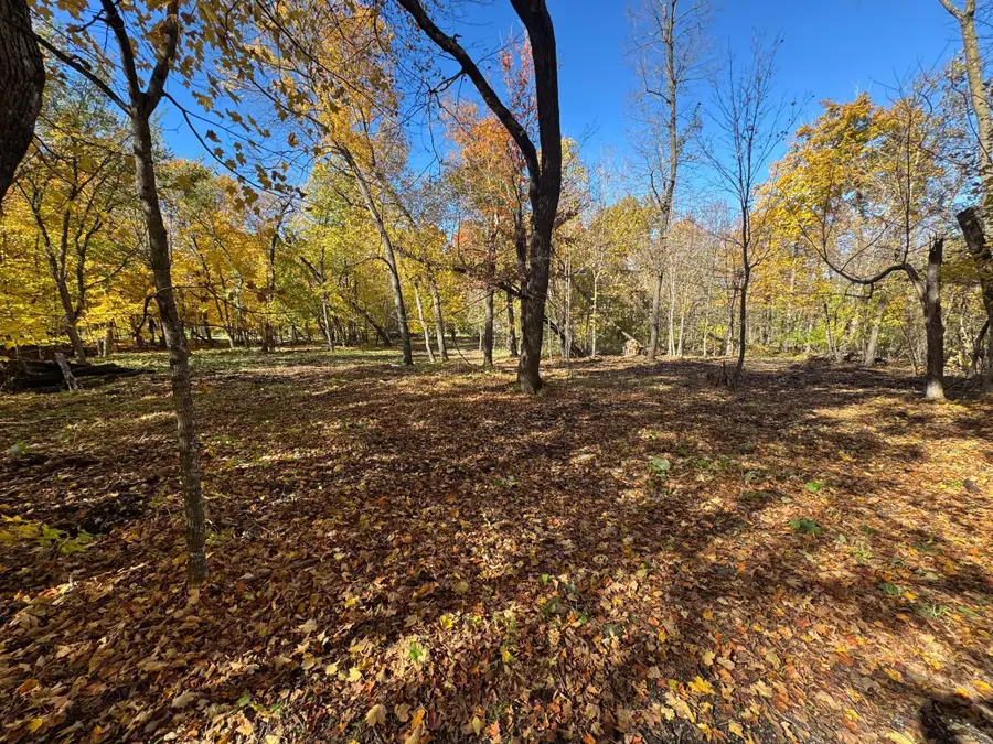 TBD Selnes Rd, Glenwood Township, MN 56334 - Image #2