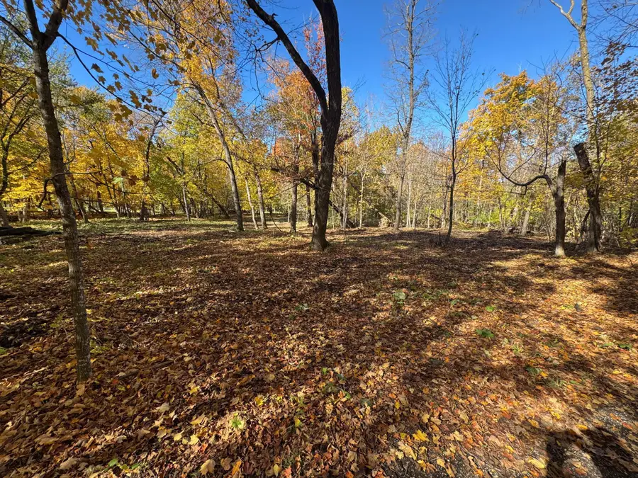 to be determined Selnes Rd, Glenwood Township, MN 56334 - Image #3