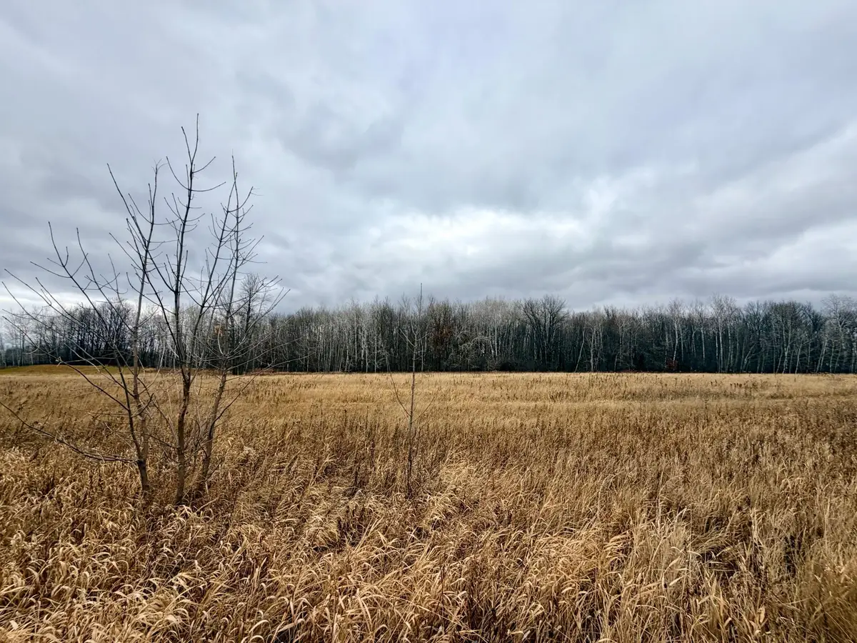 XX Pole Road, Grasston, MN 55030 - Image #1