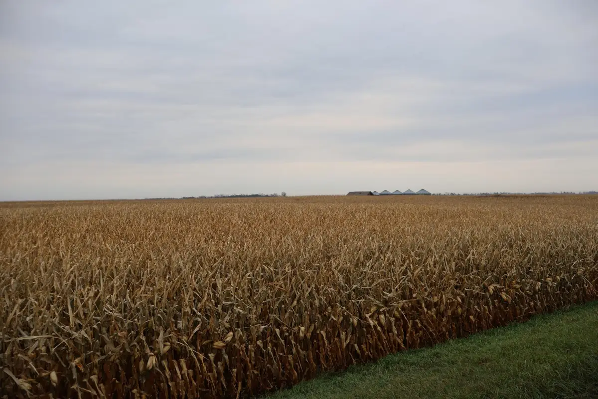 TBD SE 134th Ave / Cass County Rd 32, Tower City, ND 58071 - Image #1