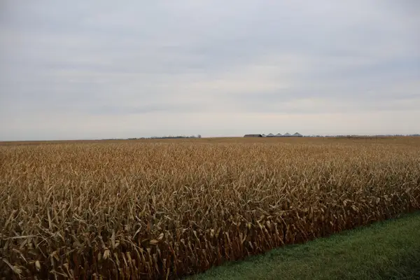 TBD SE 134th Ave / Cass County Rd 32, Tower City, ND 58071