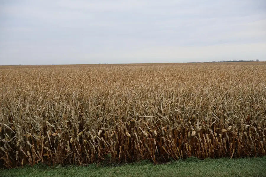 TBD SE 134th Ave / Cass County Rd 32, Tower City, ND 58071 - Image #2