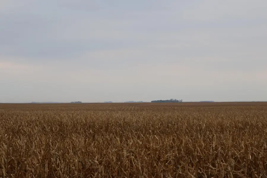 TBD SE 134th Ave / Cass County Rd 32, Tower City, ND 58071 - Image #3