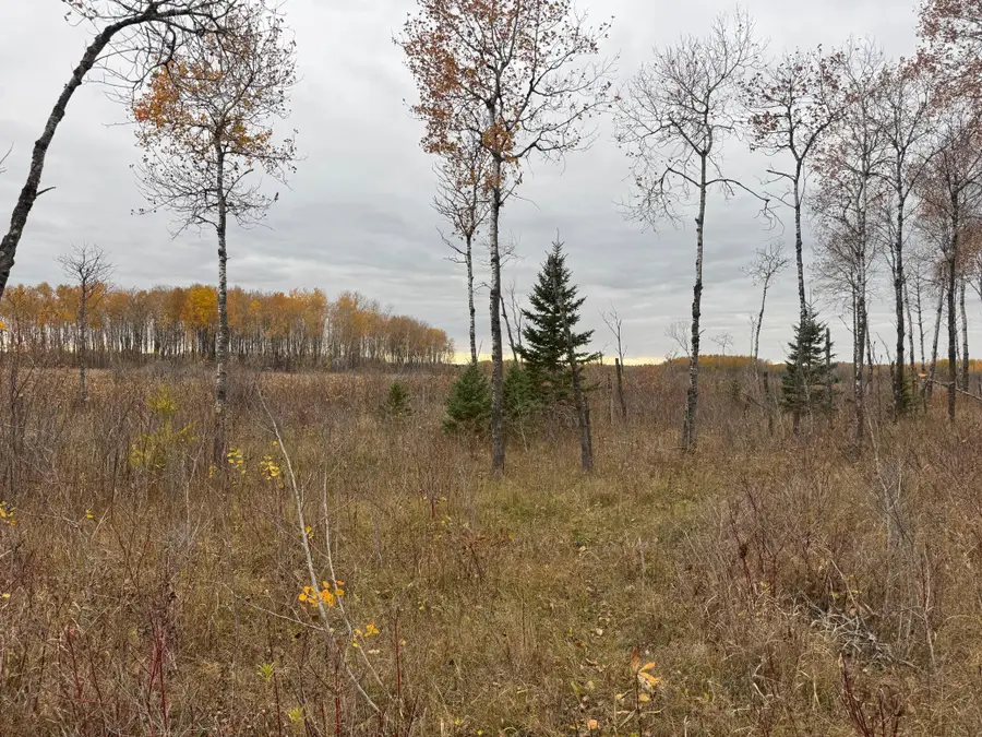 12031 State 64, Akeley, MN 56433 - #2