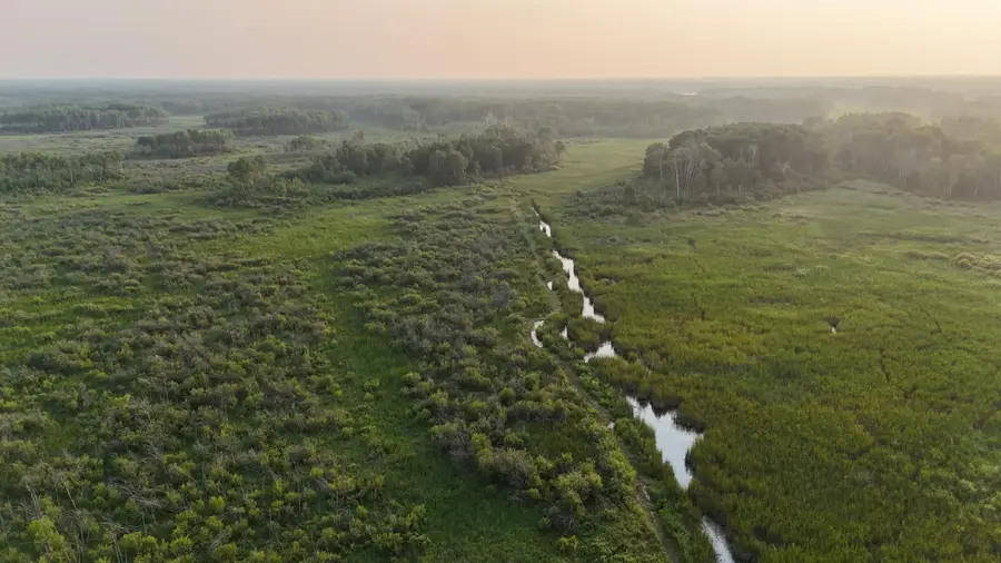 12031 State 64, Akeley, MN 56433 - #3