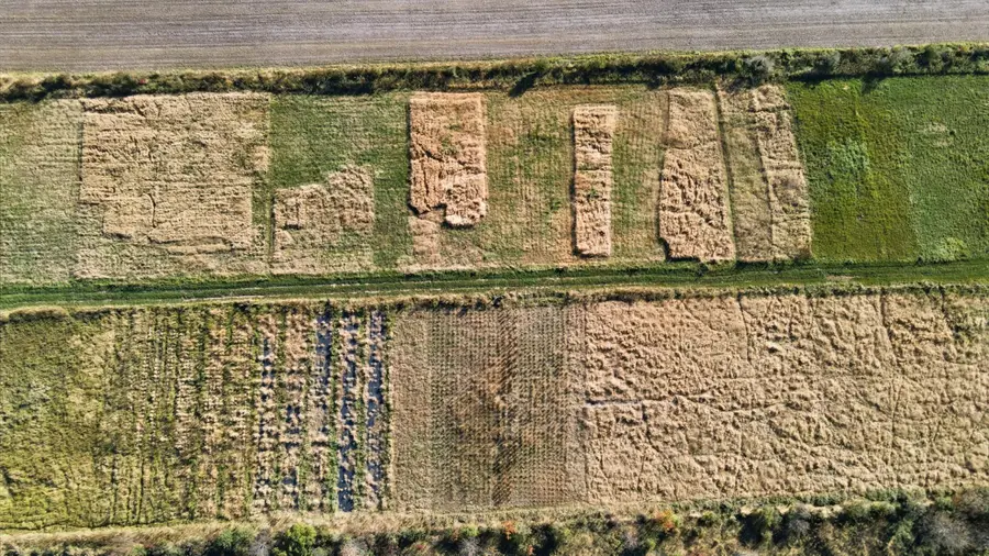 23779 555th Avenue, Lansing Township, MN 55912 - Image #3