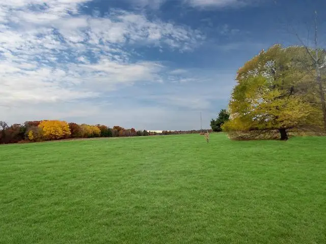 12214 Sunrise Road, Sunrise, MN 55032 - Image #2