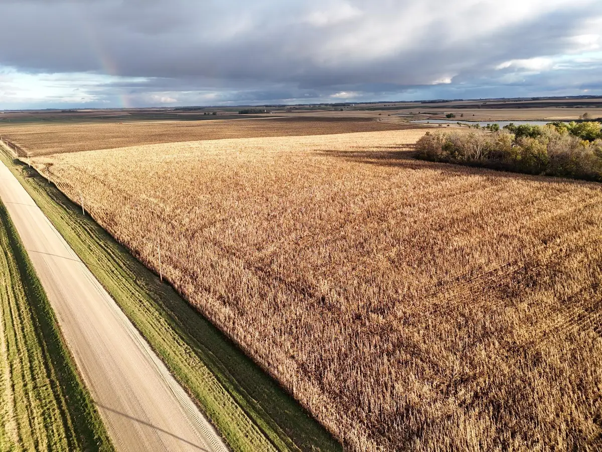 XXXXX County Rd 4, Alberta, MN 56207 - #1