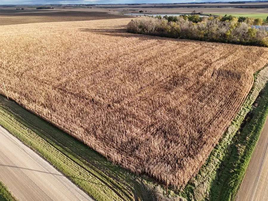 XXXXX County Rd 4, Alberta, MN 56207 - #3