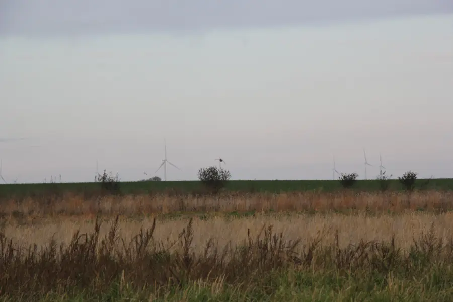 TBD 121st Street, Lake Wilson, MN 56151 - #2