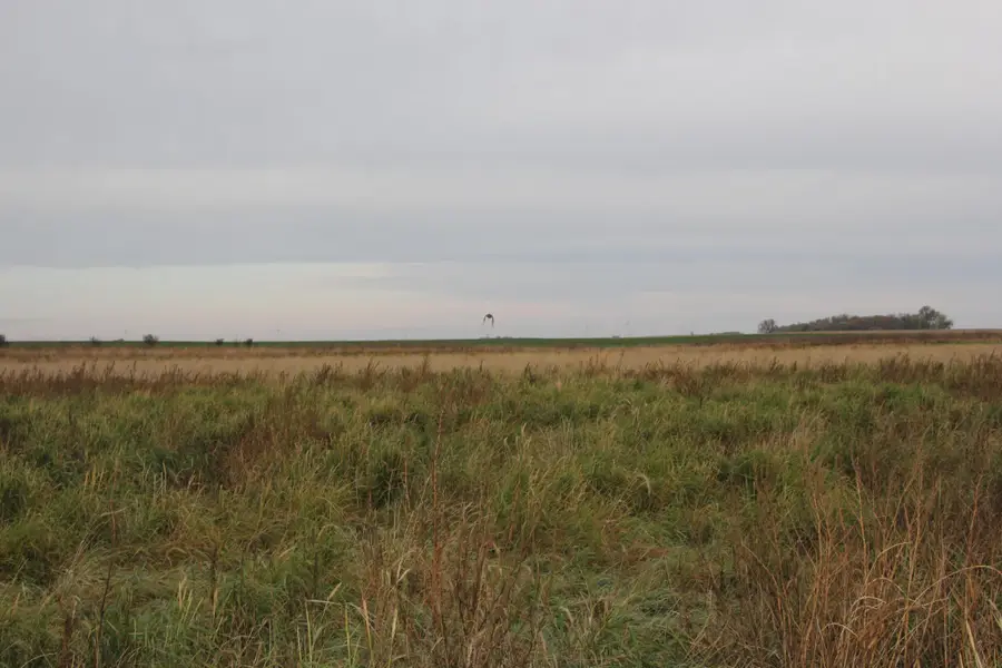 TBD 121st Street, Lake Wilson, MN 56151 - #3