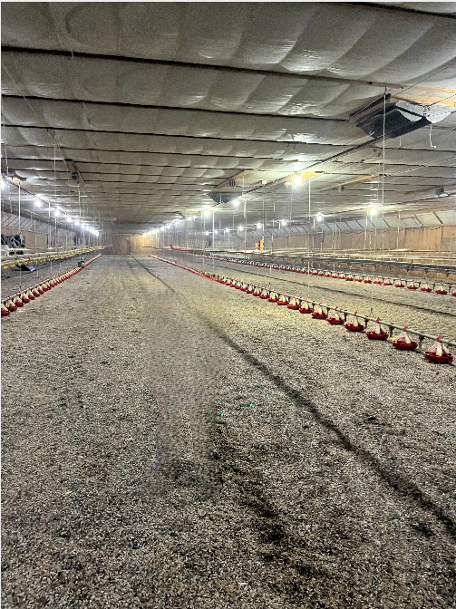 TBD County Road 3, Holdingford, MN 56340 - Image #3