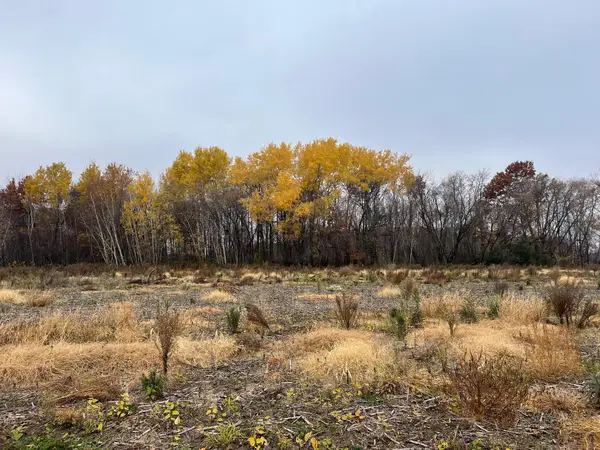 TBD (Lot 1) Brunswick Road, Stanchfield, MN 55080