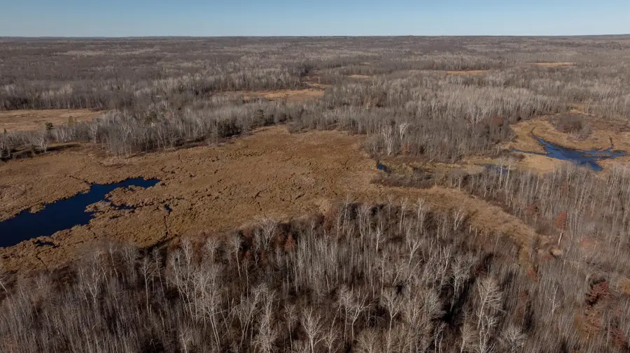 6876 County Road 1, Pine River, MN 56474 - Image #3