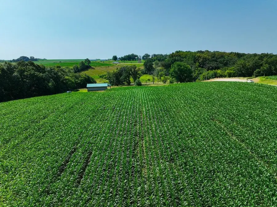 TBD30 Cherokee Road, Saint Charles Township, MN 55972 - Image #3