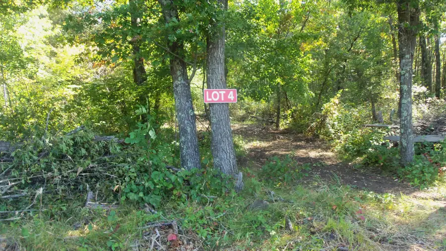Lot 4 East River Rd, Anderson, WI 54840 - Image #2