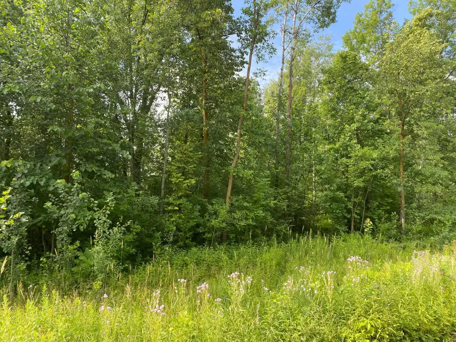 TBD 175th, Ogilvie, MN 56358 - Image #2