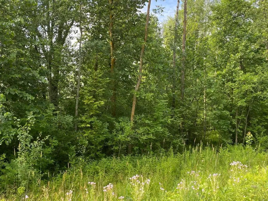 TBD 175th, Ogilvie, MN 56358 - Image #3