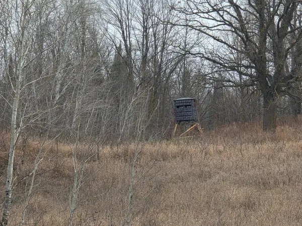 2767 State Highway 113, Oakland Twp, MN 56589