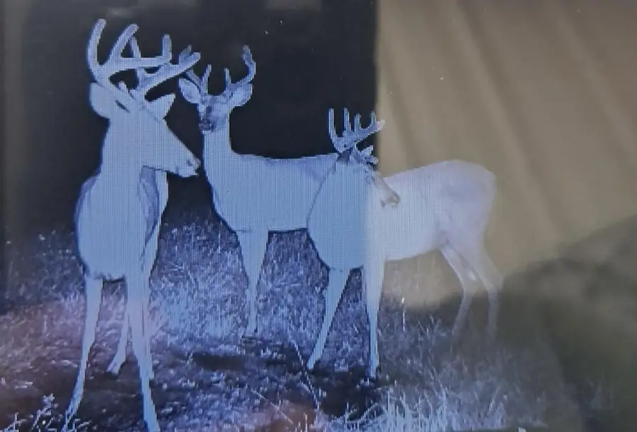 27048 Hawthorn Road N, Hinckley, MN 55037 - Image #3