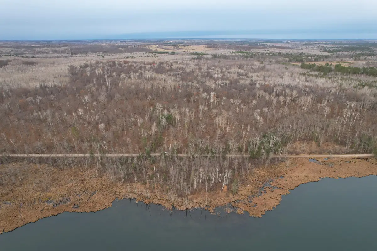35394 Gulch Forest Trail W, Laporte, MN 56461 - Image #1