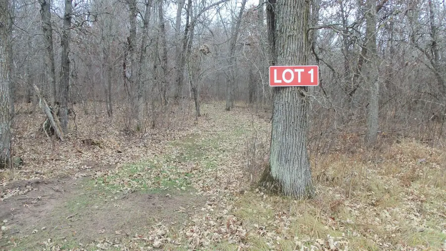 Lot 1 300th St, Sterling, WI 54024 - Image #2