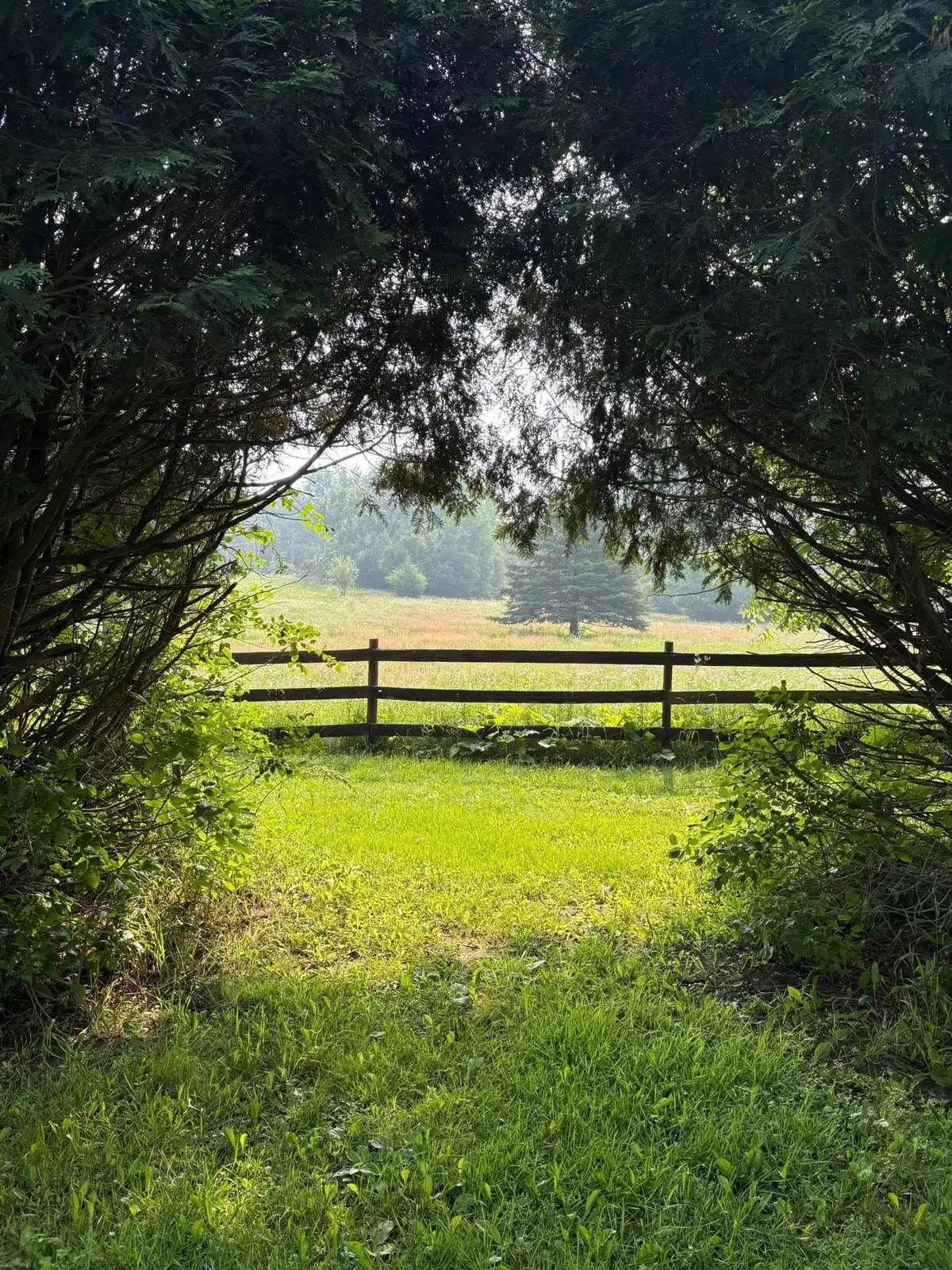 TBD Norsted Avenue S, Afton, MN 55001 - Image #1