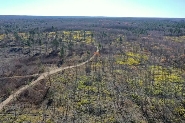 TBD N Larsen Road, Lenroot Twp, WI 54843