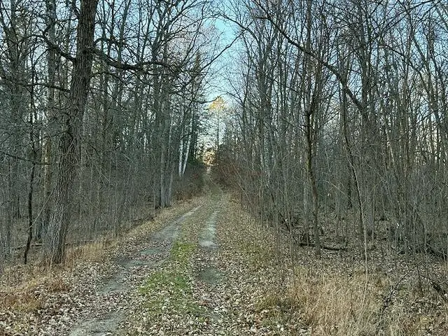 24965 Hammock Trail, Park Rapids, MN 56470 - Image #2