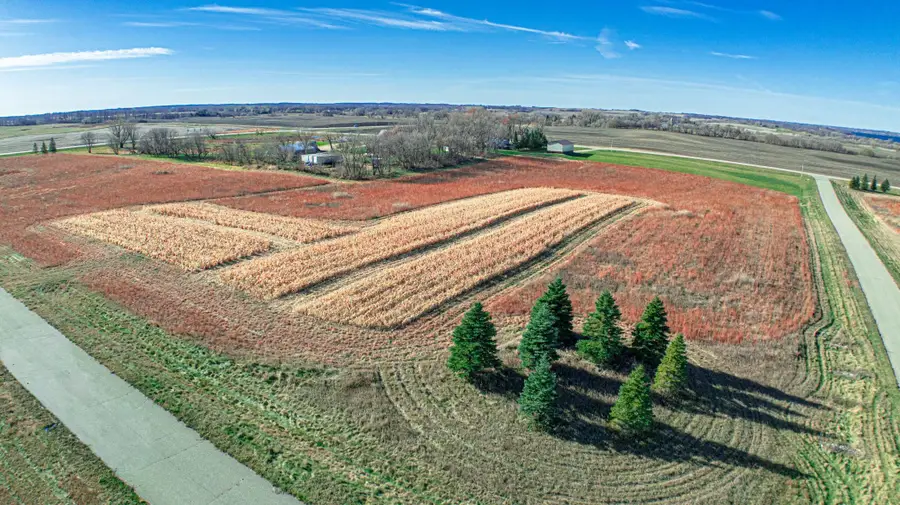 - Co Rd 18, Glenwood, MN 56334 - Image #3