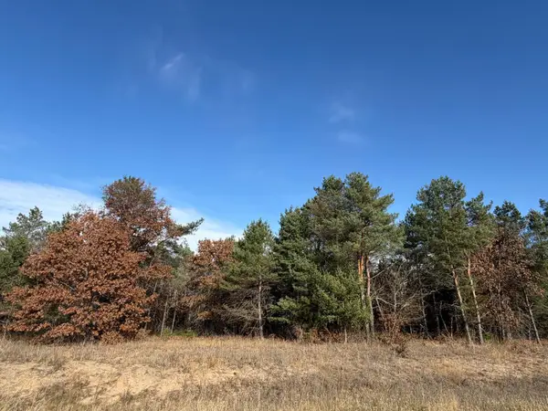 L8,Blk1 262nd Avenue Nw, Orrock Twp, MN 55309