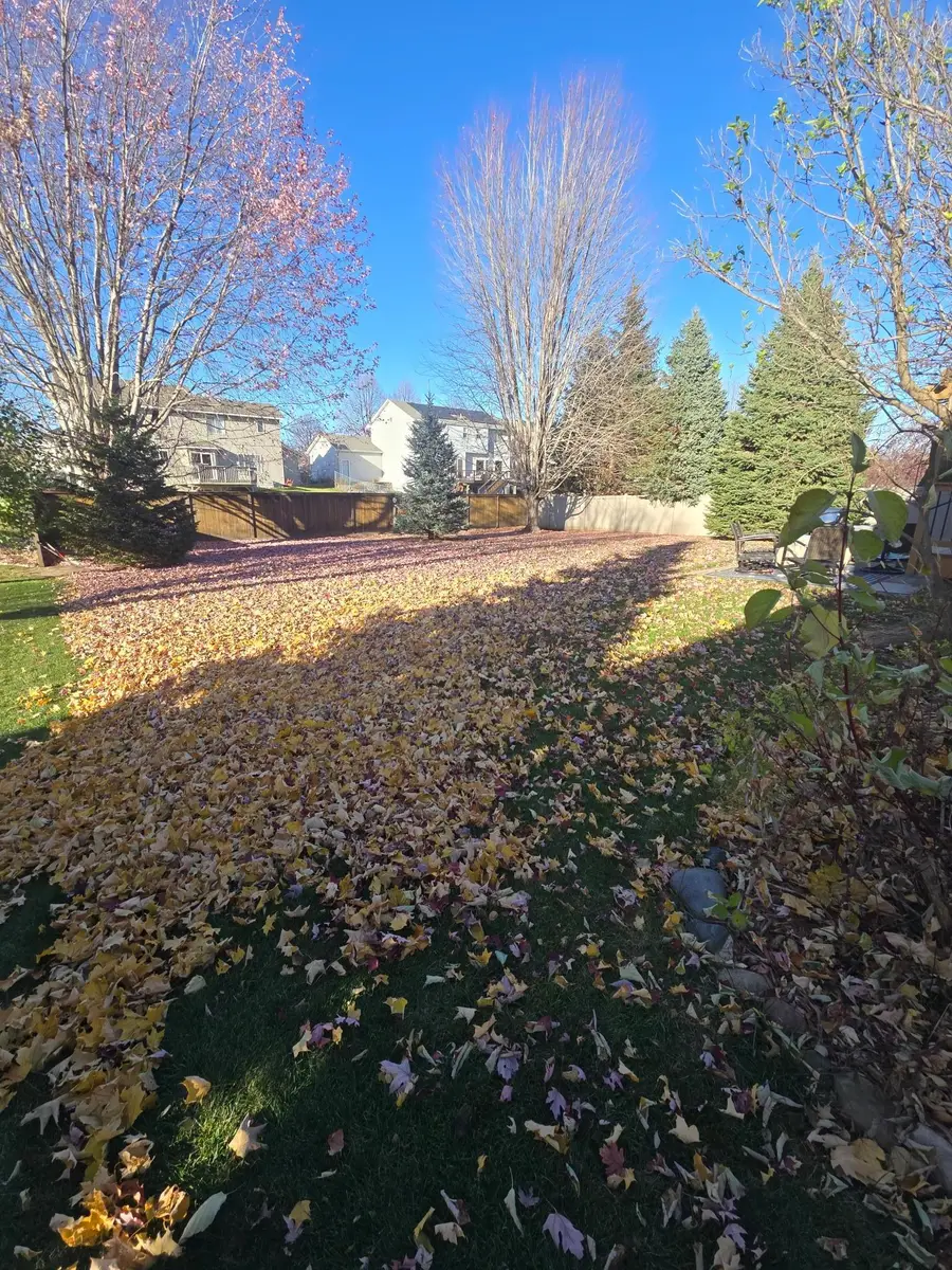 19757 Everhill Avenue, Farmington, MN 55024 - Image #2