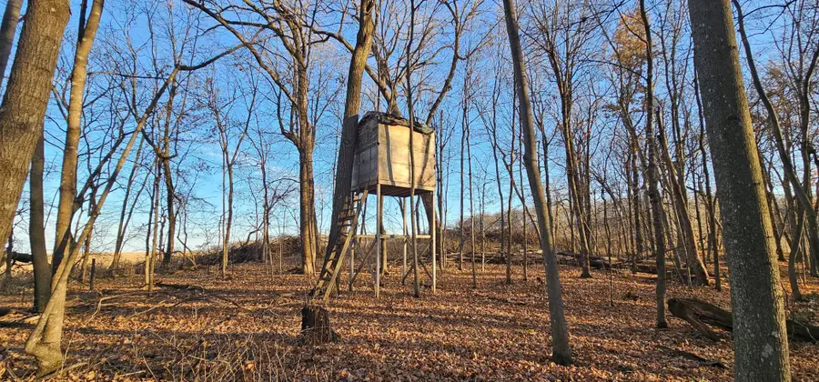 38638 Dancer, Holt, MN 55949 - Image #3